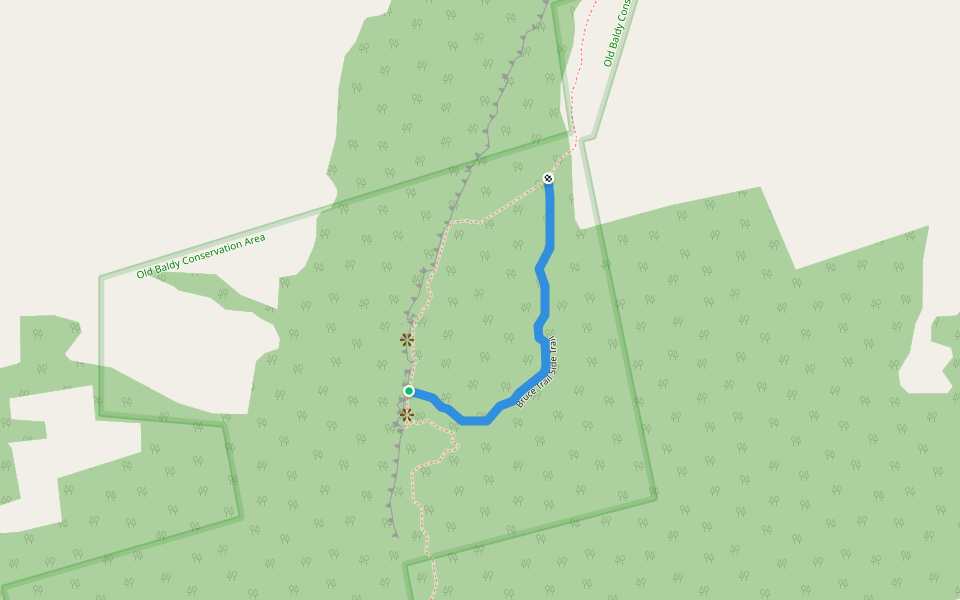 Bruce Trail Side Trail walking route map in Flesherton
