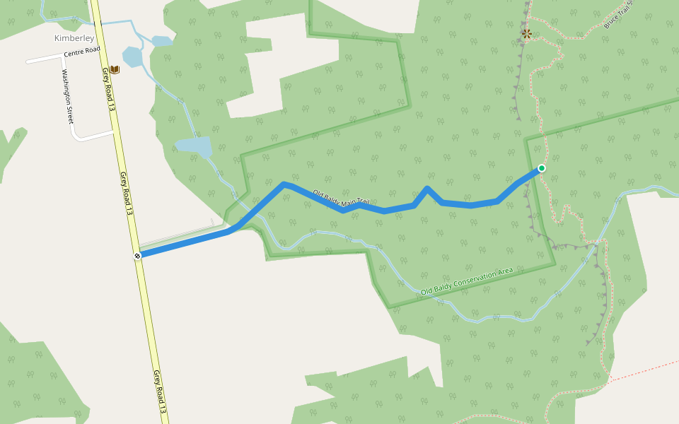 Old Baldy Main Trail walking route map in Flesherton