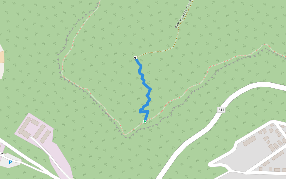 Стръмен участък walking route map in Elena
