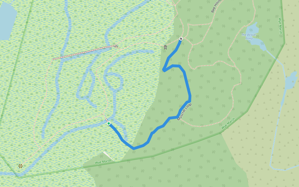 Muscrat Loop walking route map in Midland