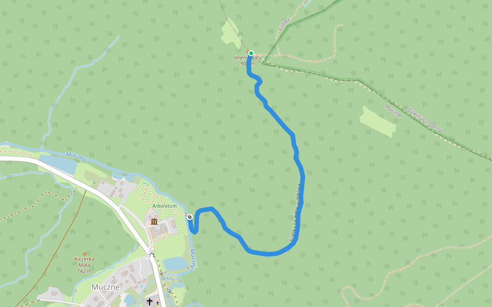 Ścieżka na wieżę widokową walking route map in Wetlina