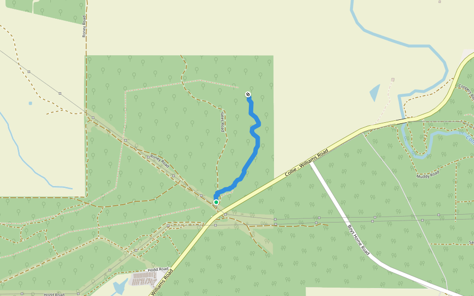 Darrell Trail walking route map in Palmer