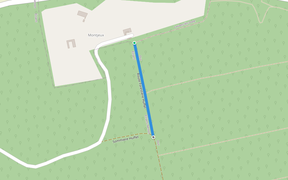 Route Forestière Huffel walking route map in Lavans-lès-Dole