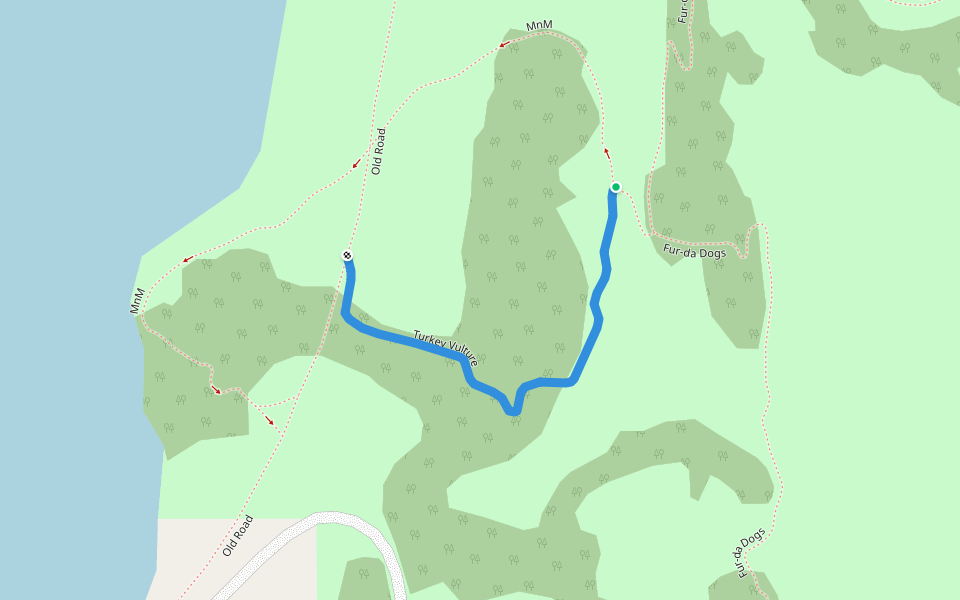 Turkey Vulture walking route map in Dundurn