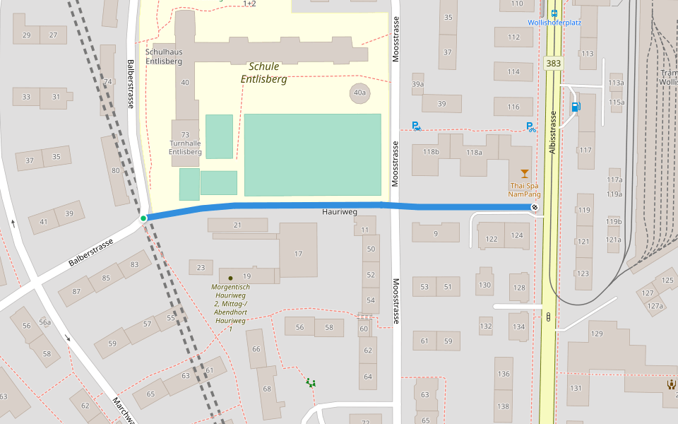 Hauriweg Walking And Running Trail Zürich Pacer