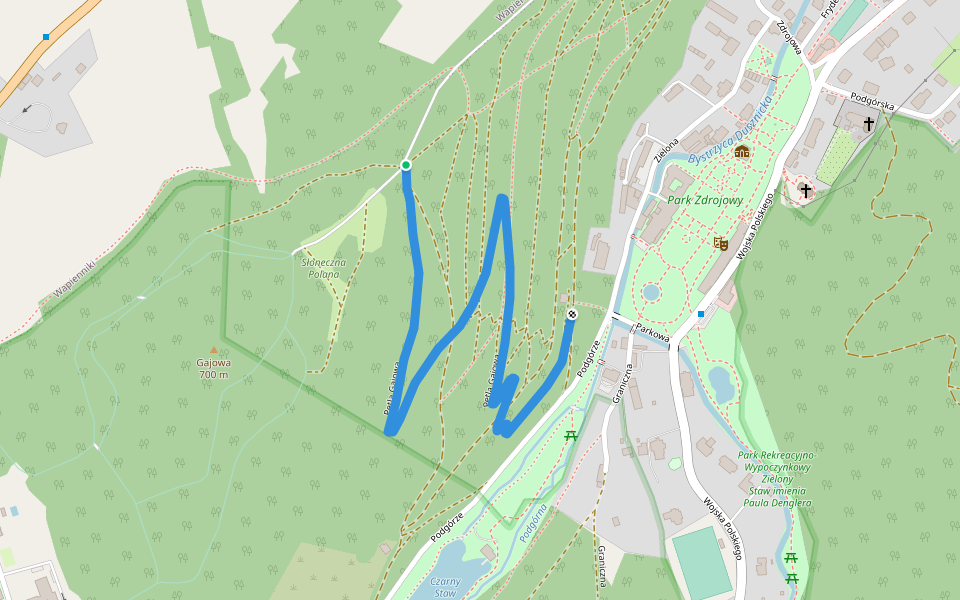 Pętla Gajowa walking route map in Duszniki-Zdrój