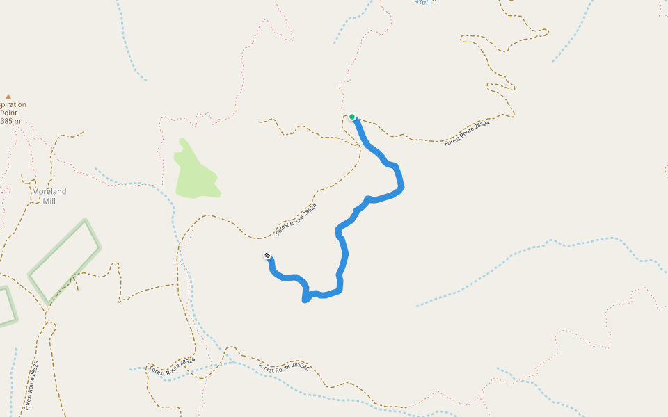 Steve Springs Trail walking route map in Weldon