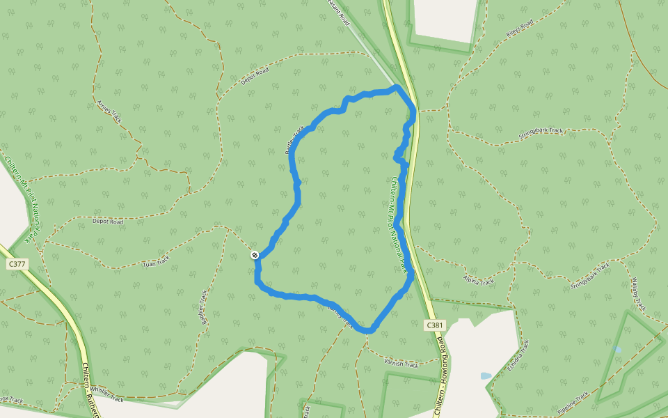 ChilternMt Pilot National Park 걷기 및 달리기 트레일 빅토리아 주, 오스트레일리아 Pacer