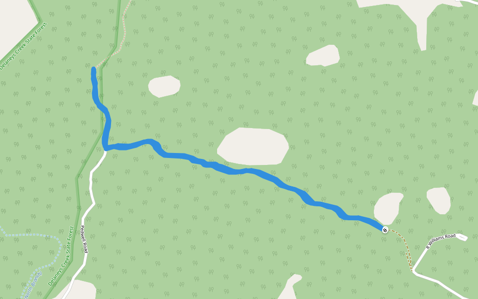 Delaneys Creek State Forest Hiking Trail Queensland, Australia Pacer