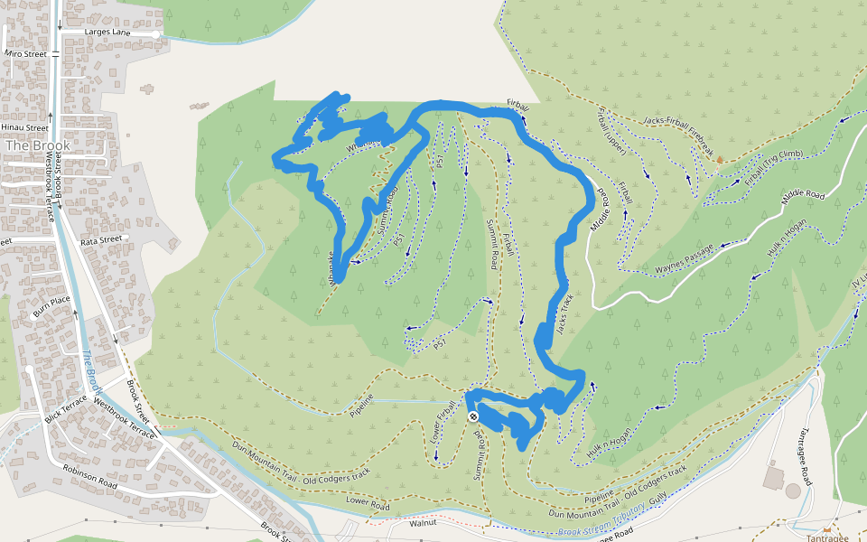 Jacks Track Hiking Nelson Pacer