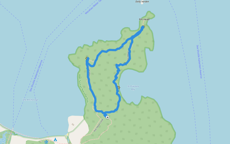 Pitt Head Loop walking route map in Abel Tasman National Park