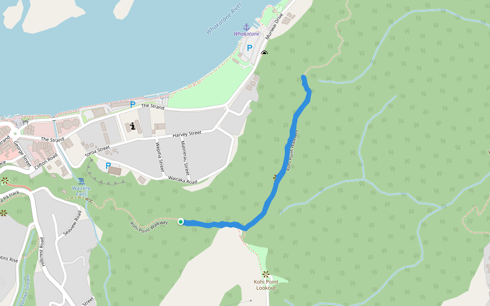 Kohi Point Walkway walking route map in Whakatāne