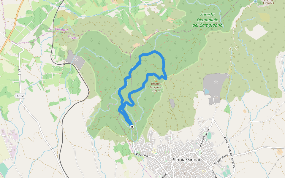 Foresta Demaniale del Campidano