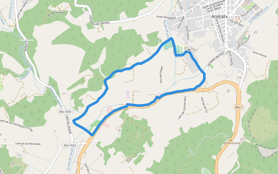 Camp de futbol de Sa Plana