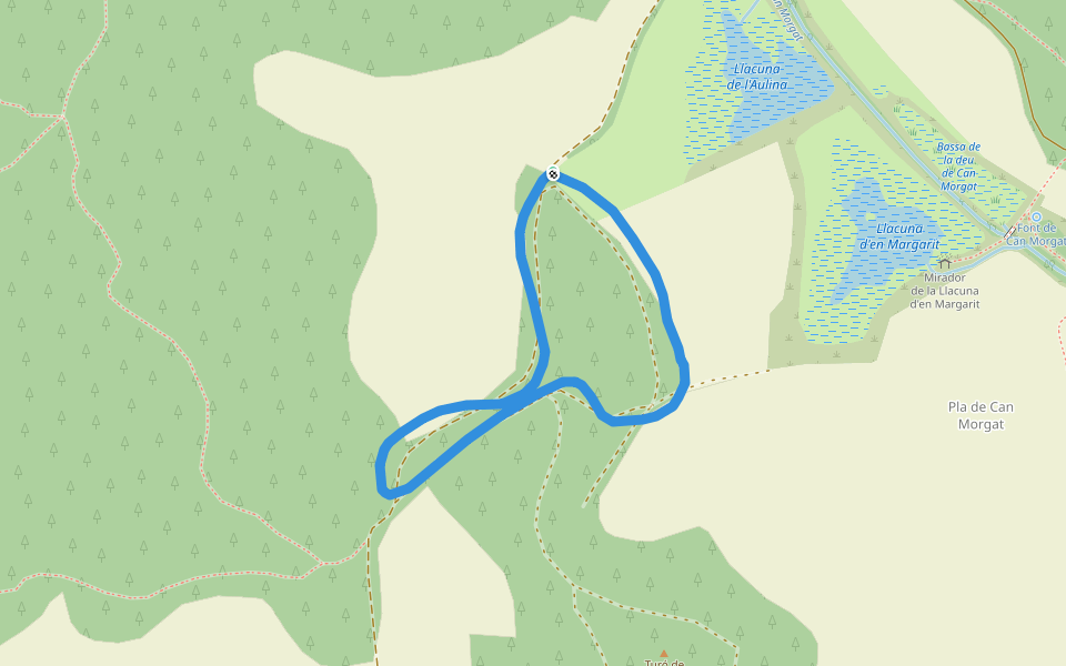 Bosc De Can Morgat walking route map in Porqueres