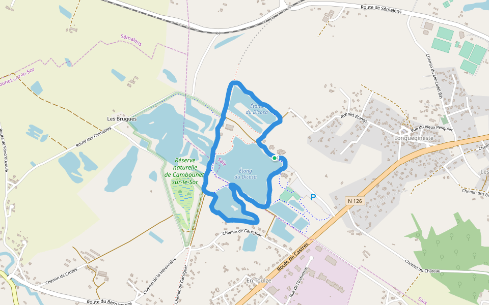 Étang du Dicosa walking route map in Saix
