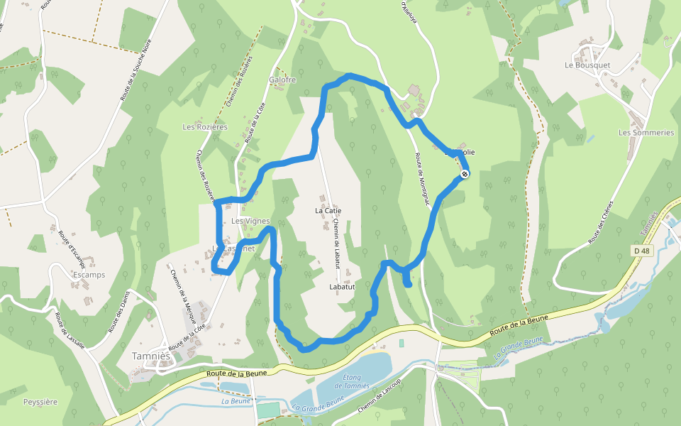 Chemin des Rozières walking route map in Tamniès