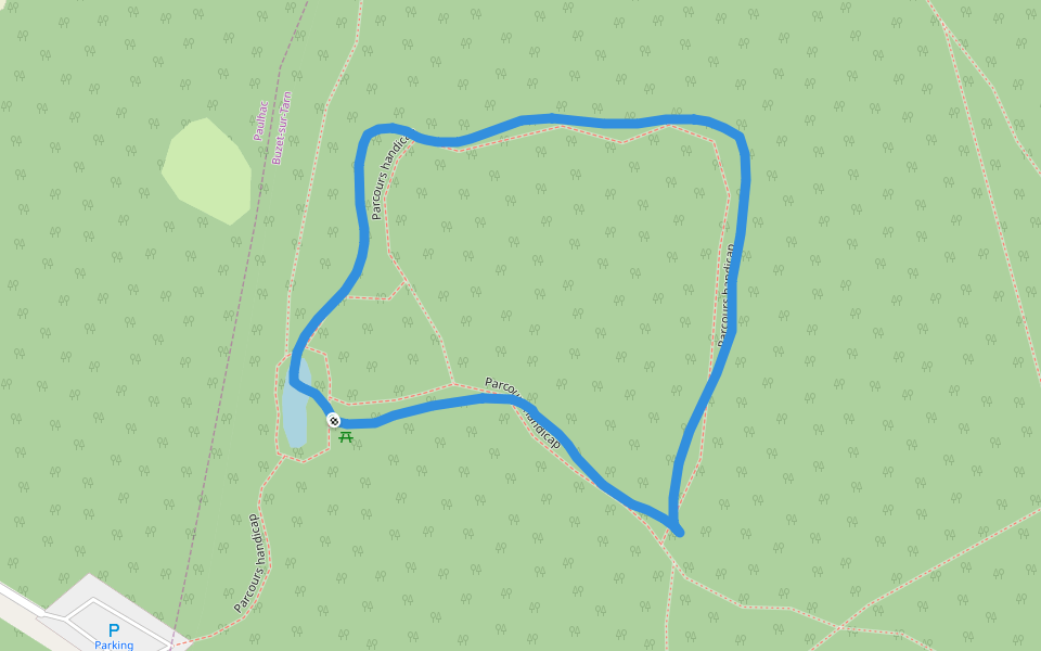 Forêt de Buzet walking route map in Buzet-sur-Tarn