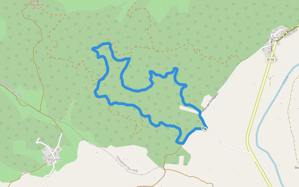 Eucalyptus walking route map in Cessenon-sur-Orb