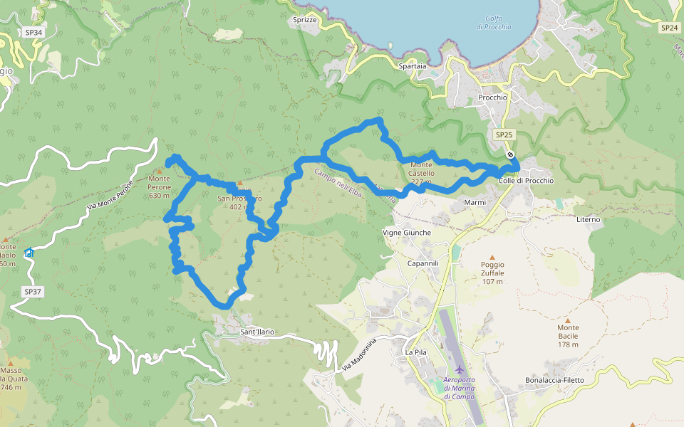 Via del Salicastro walking route map in Procchio