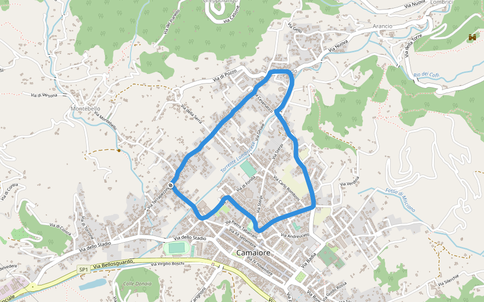 Piazza XXIX Maggio walking route map in Camaiore