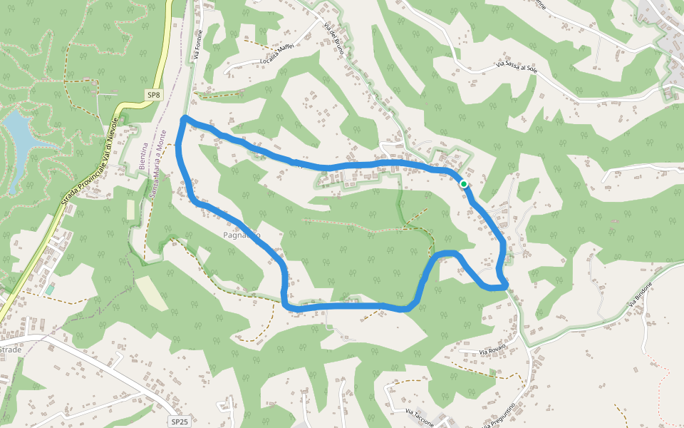 Riserva delle Cerbaie e del Padule di Fucecchio walking route map in Santa Maria A Monte