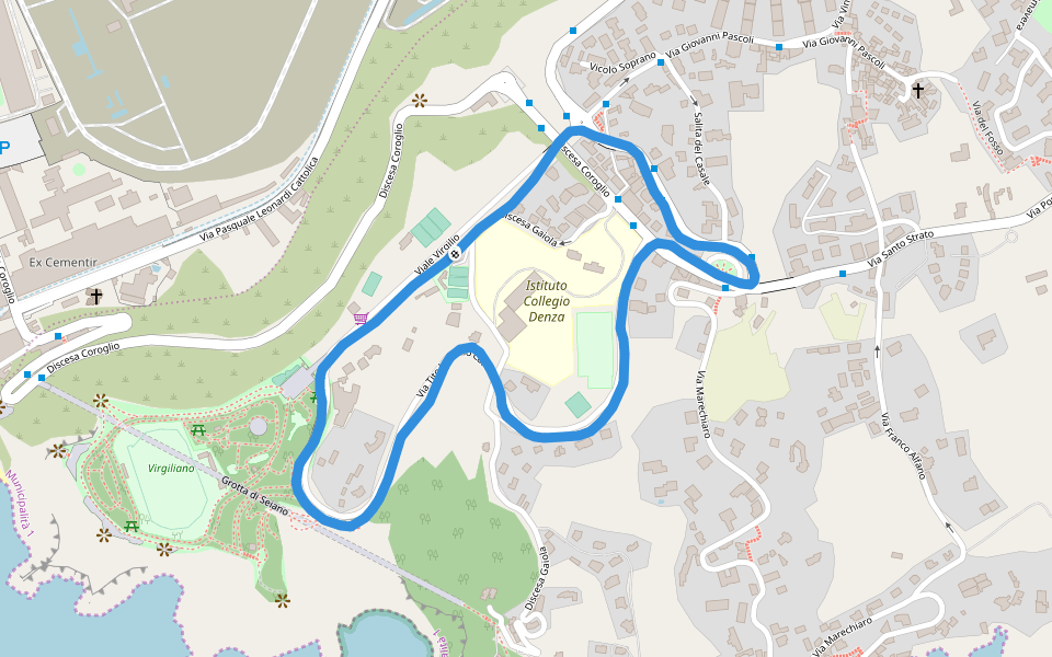 Istituto Collegio Denza