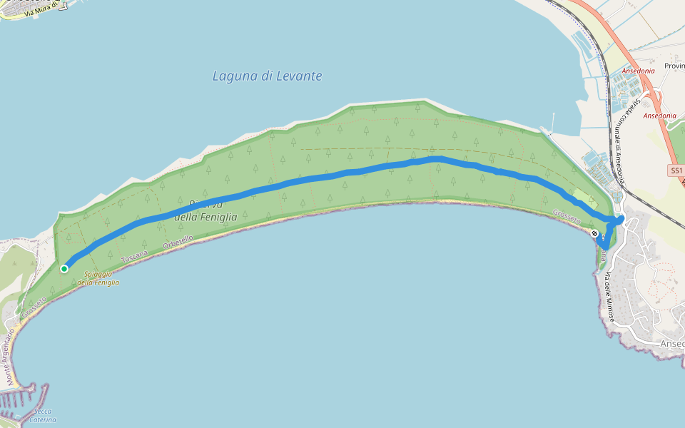 pineta della Feniglia