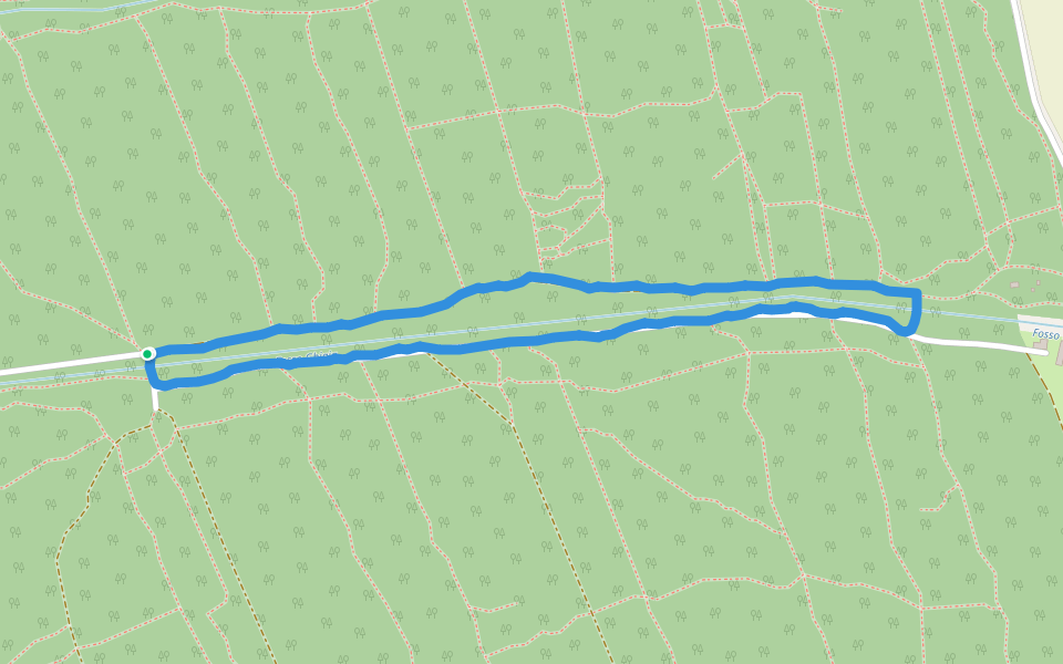 Pineta di Classe walking route map in Fosso Ghiaia