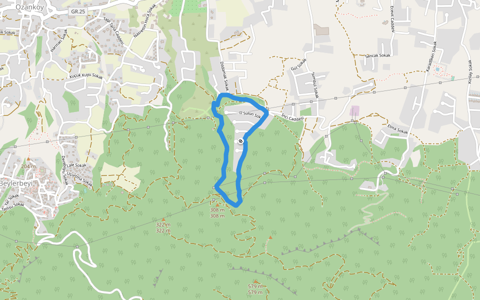 308 m walking route map in Beylerbeyi