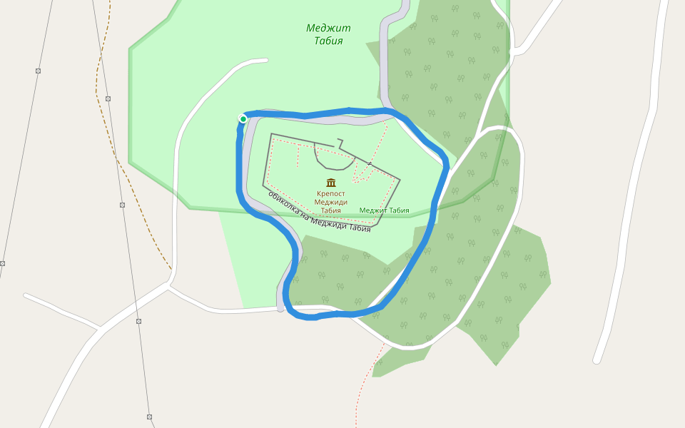 Крепост Меджиди Табия