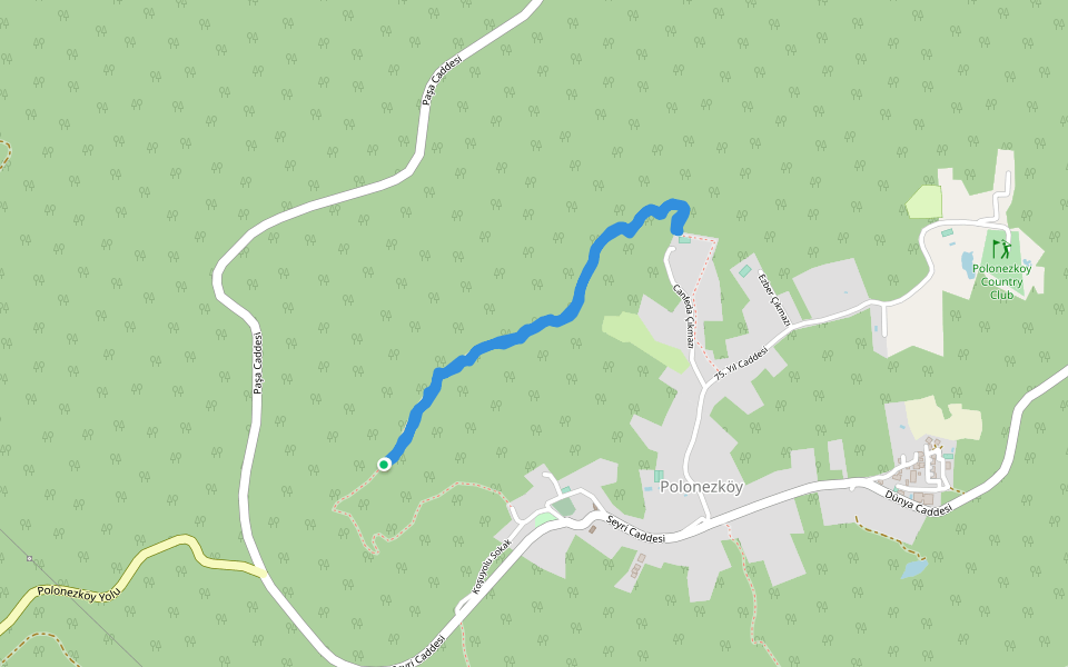 nature park walk cekmekoy istanbul turkey pacer