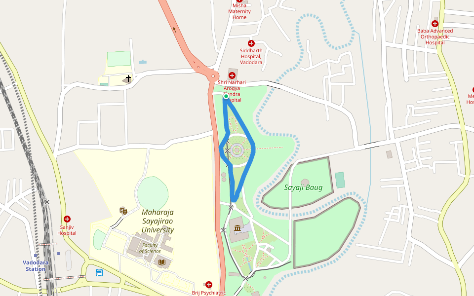 Maharaja Sayajirao University