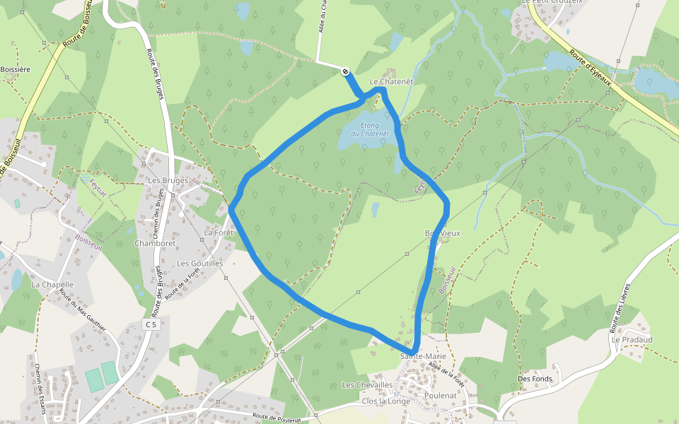 Étang du Chatenêt walking route map in Feytiat