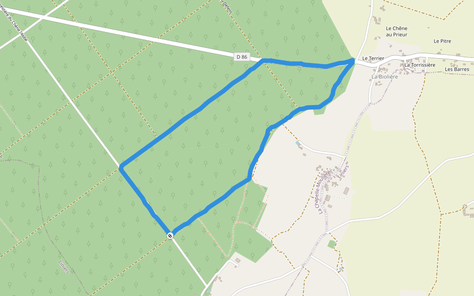 Forêt de Moulière walking route map in La Chapelle-Moulière