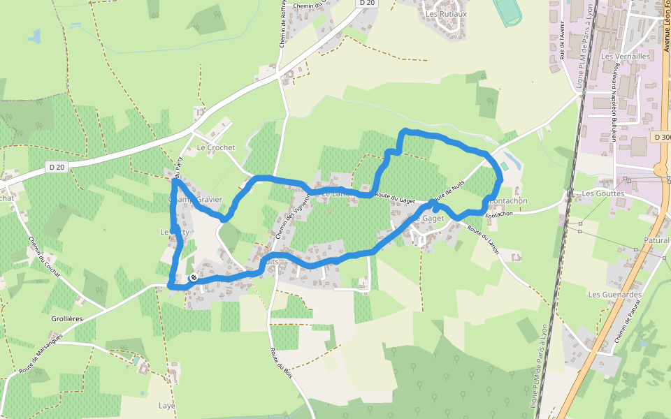 Le Larion walking route map in Saint-Georges-de-Reneins