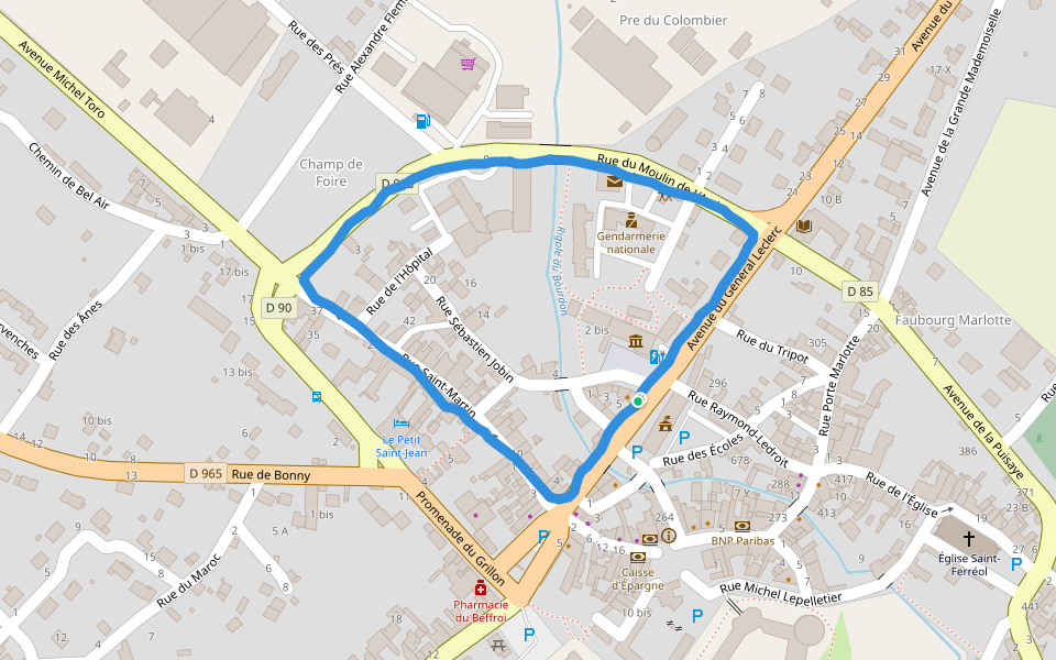 Place de l'Hôtel de Ville walking route map in Saint-Fargeau