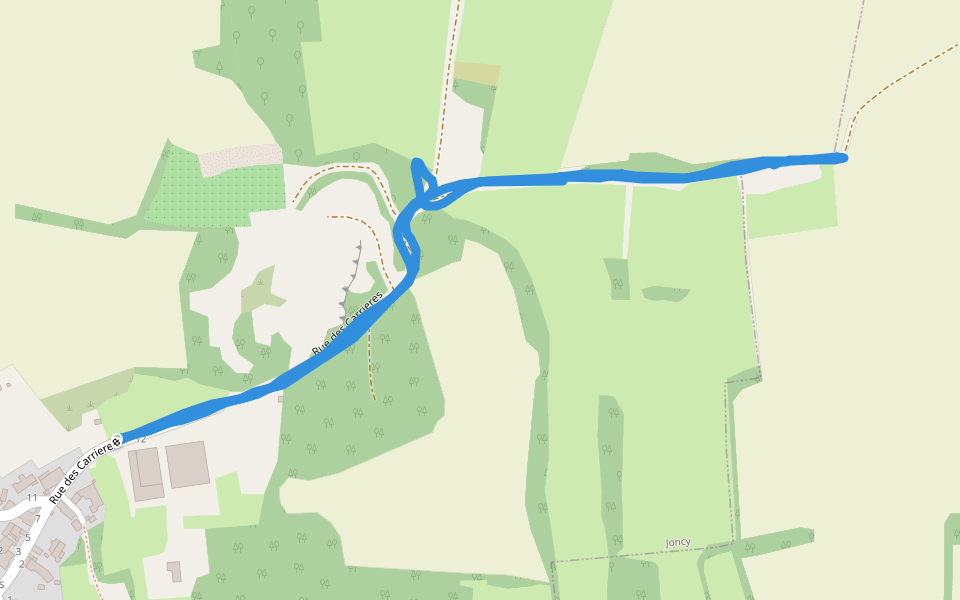 Rue des Carrieres walking route map in Joncy