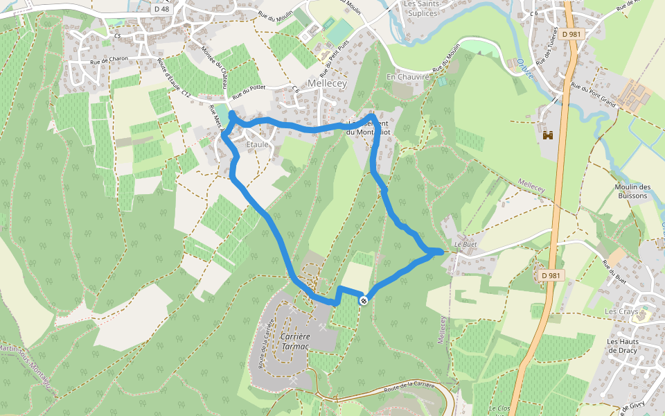 Route de la Carrière walking route map in Mellecey