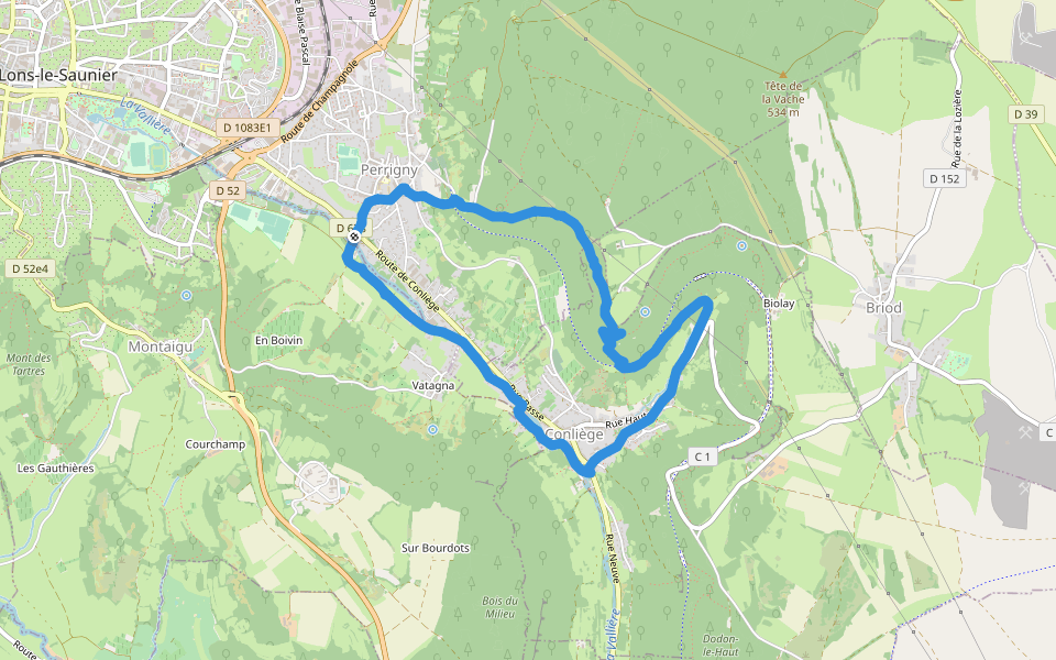 Chemin de Chapothier walking route map in Perrigny
