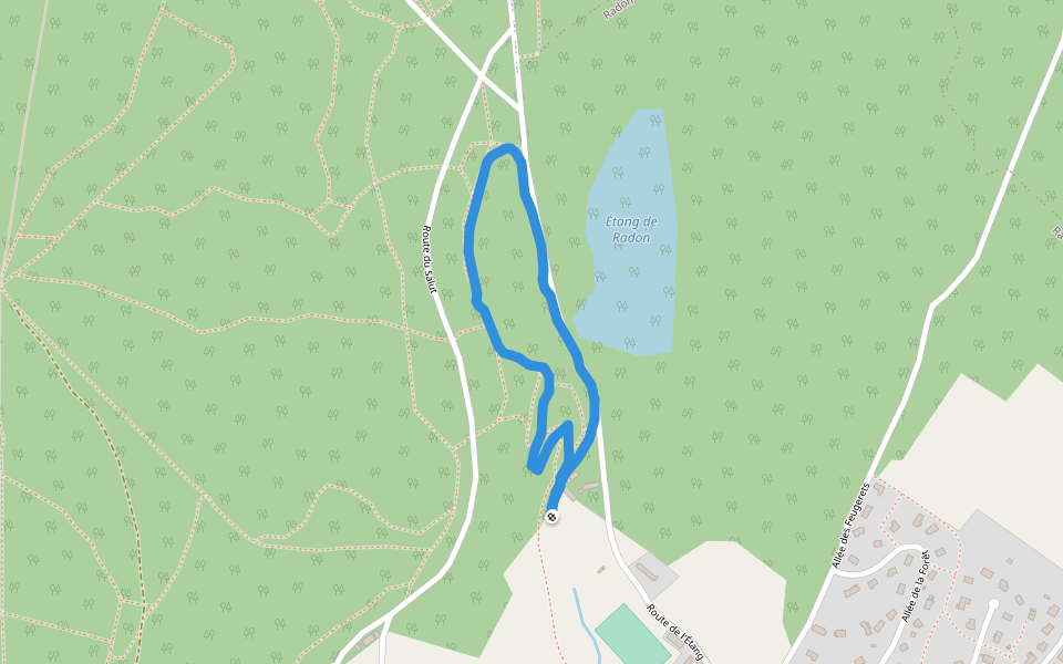 Forêt domaniale d'Écouves