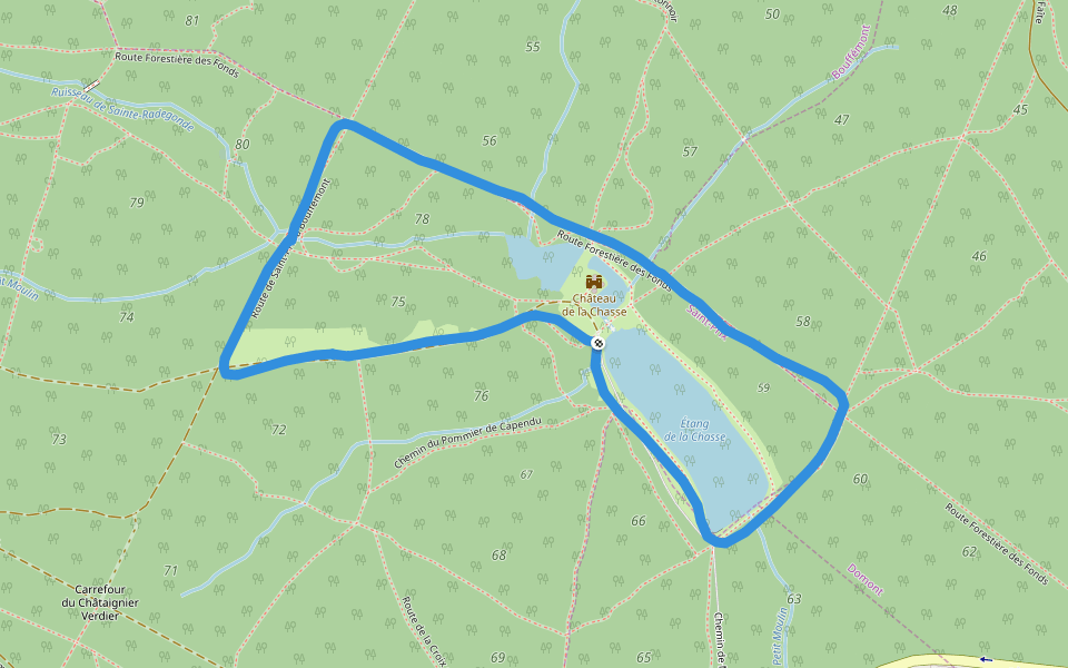 Forêt domaniale de Montmorency walking route map in Saint-Prix
