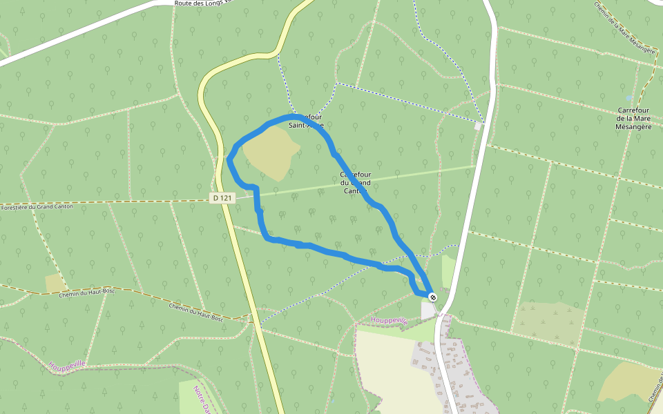 Forêt domaniale Verte