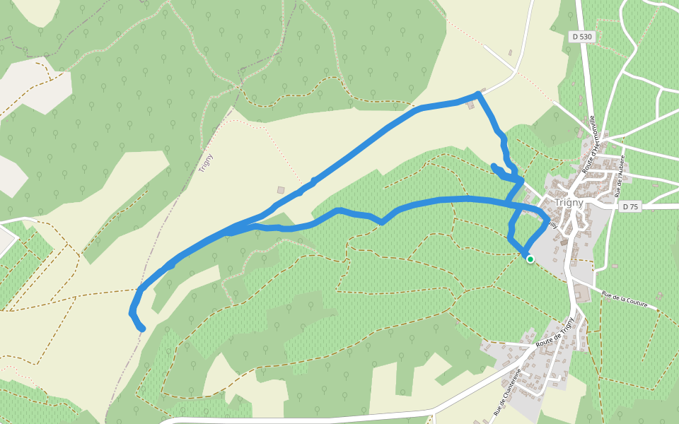 Petite Rue de la Couture walking route map in Trigny