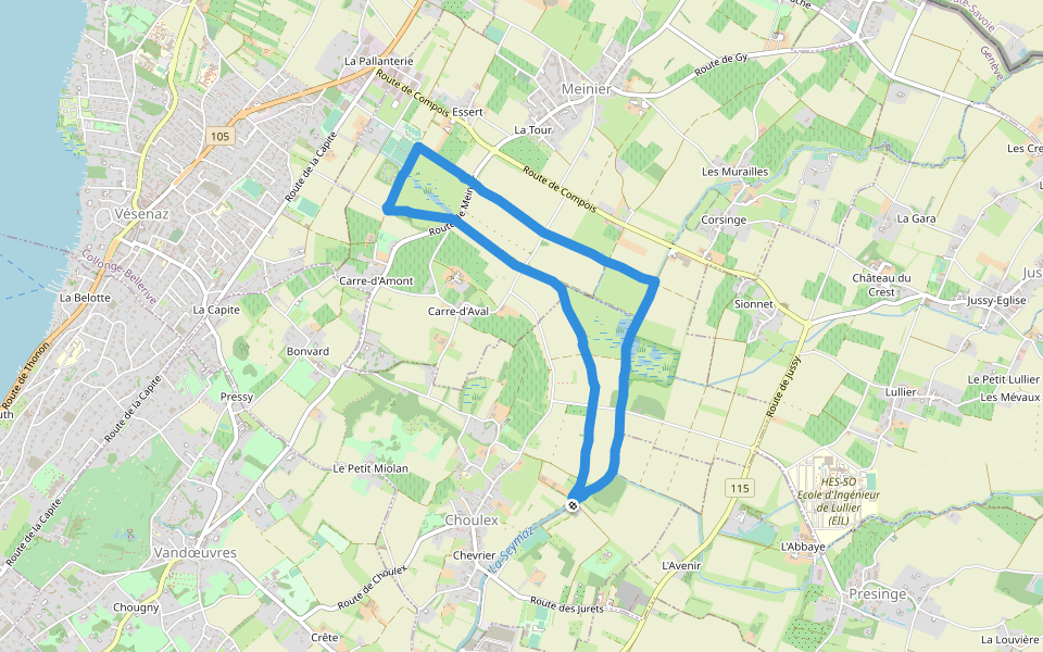 Marais de Sionnet walking route map in Choulex