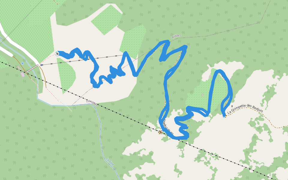 Forêt d'Arbin - La Grimpette des Bedjuis