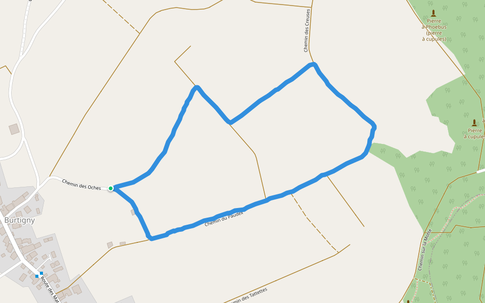 Chemin du Paudex walking route map in Burtigny
