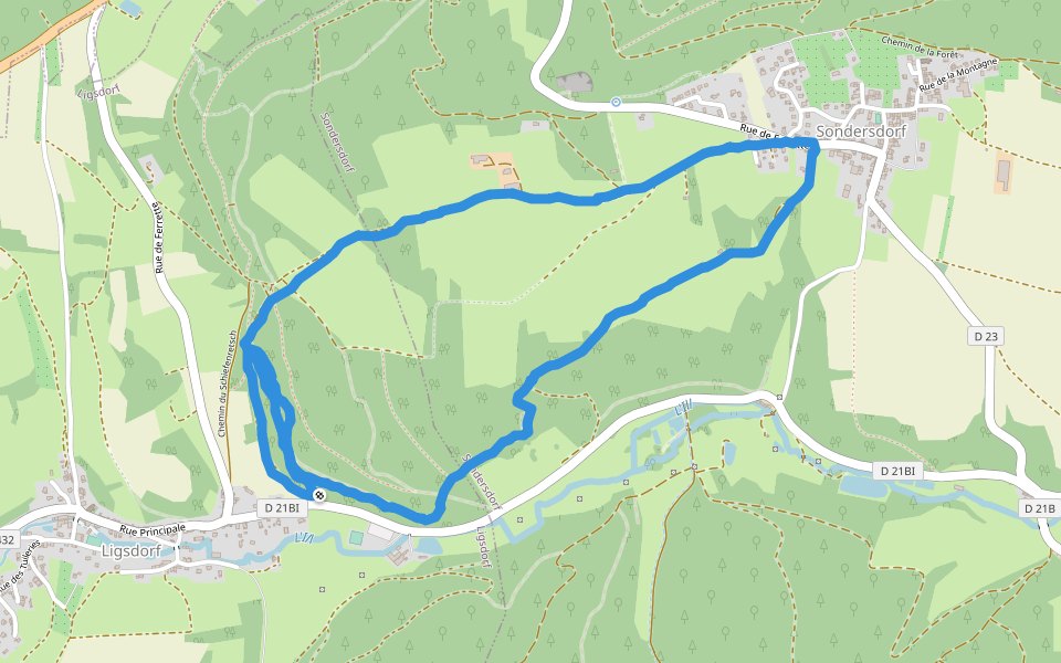 Chemin du Schiefenretsch walking route map in Ligsdorf
