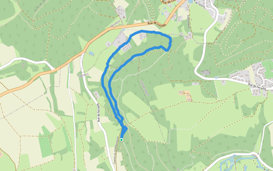 Chemin du Schiefenretsch walking route map in Ligsdorf