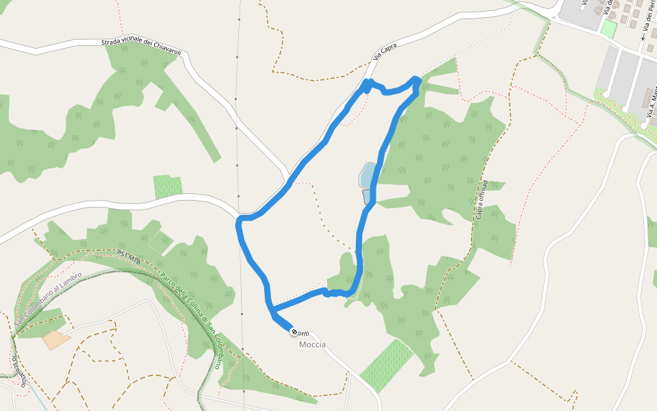 Parco della Collina di San Colombano-Via Madonna dei Monti walking route map in Madonna dei Monti